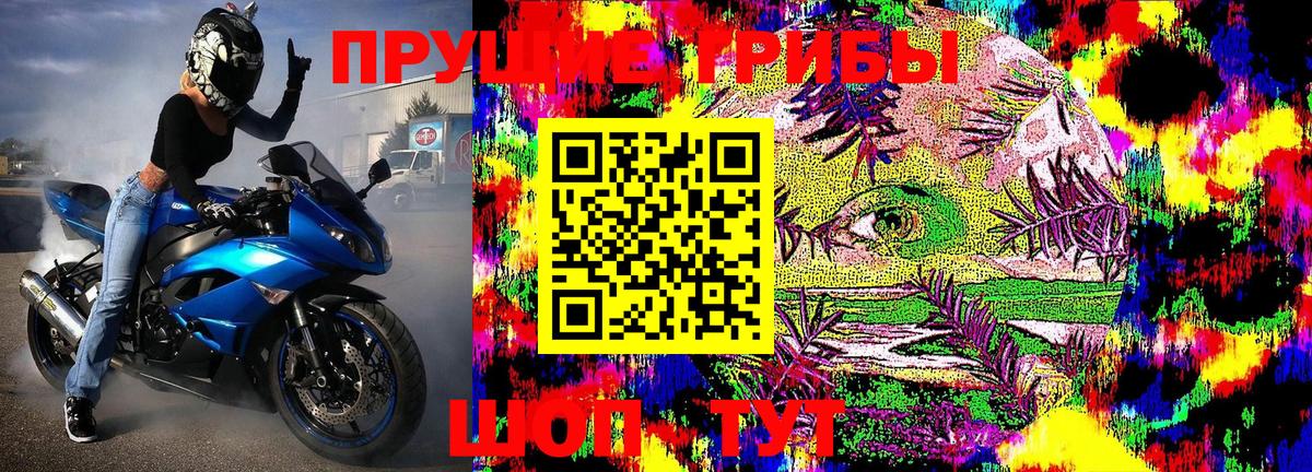 Галлюциногенные грибы Psilocybe  Вход с VPN  Тосно  Псилоцибиновые грибы GOLDEN TEACHER 